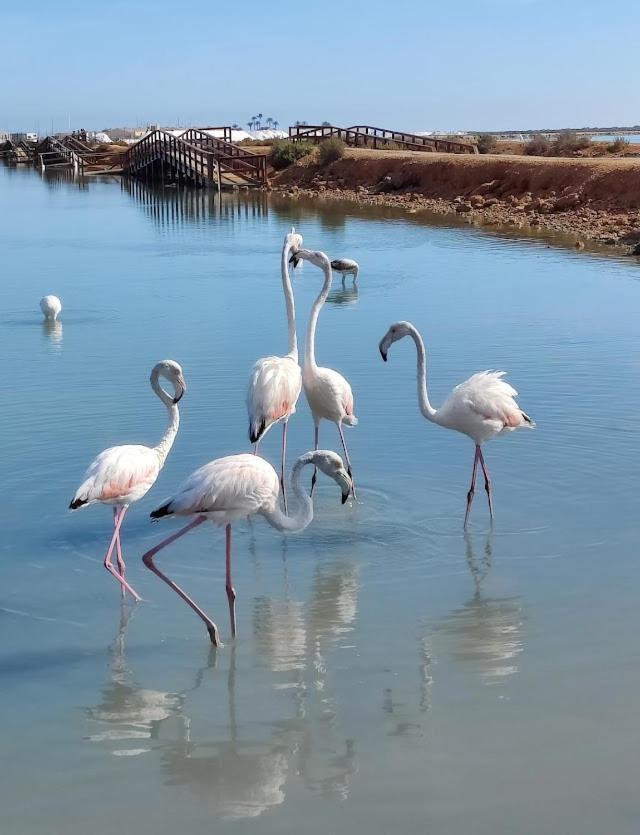 La Casika De Lola Villa San Javier Buitenkant foto